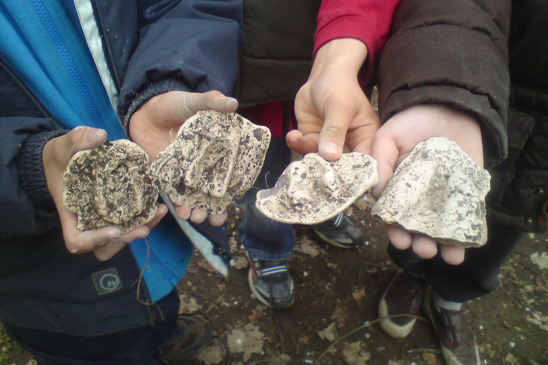Ateliers montagne