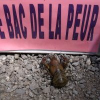 le "Terrrrrrrible bac de la Peuuuur"