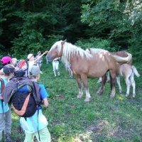rencontre à la redescente